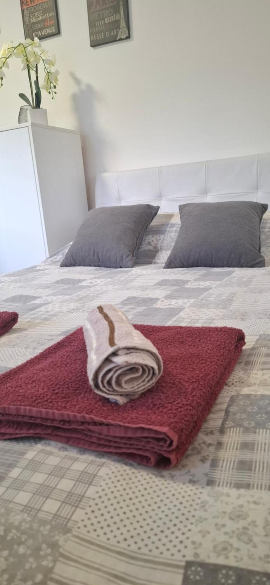באינה באשטה Apartments Ivanovic Center City מראה חיצוני תמונה